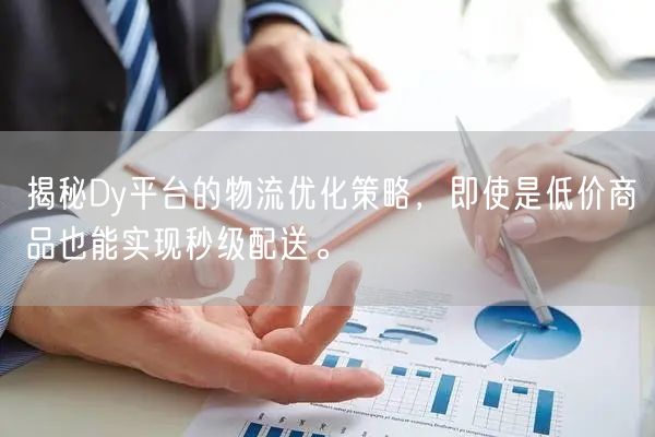 揭秘Dy平台的物流优化策略，即使是低价商品也能实现秒级配送。