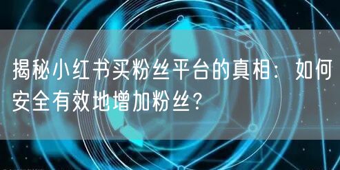 揭秘小红书买粉丝平台的真相：如何安全有效地增加粉丝？