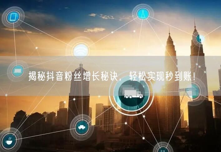 揭秘抖音粉丝增长秘诀，轻松实现秒到账！