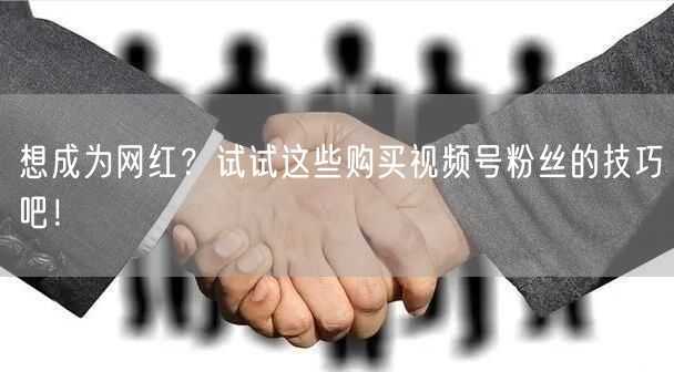想成为网红？试试这些购买视频号粉丝的技巧吧！