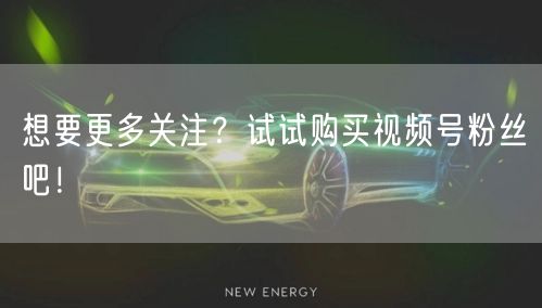 想要更多关注？试试购买视频号粉丝吧！