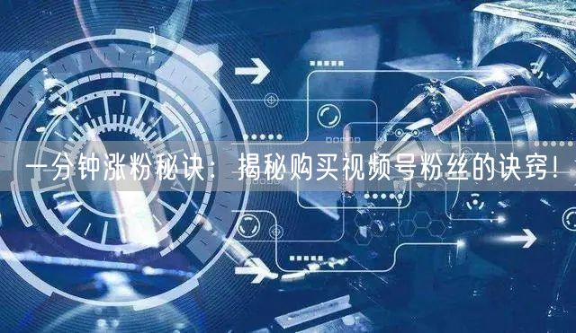 一分钟涨粉秘诀：揭秘购买视频号粉丝的诀窍！