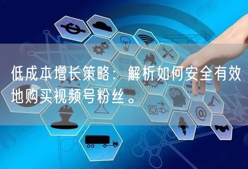 低成本增长策略：解析如何安全有效地购买视频号粉丝。