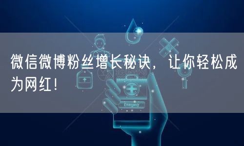 微信微博粉丝增长秘诀，让你轻松成为网红！