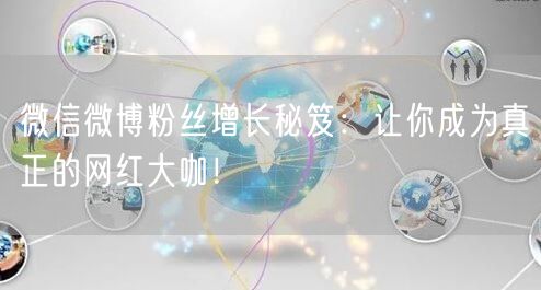 微信微博粉丝增长秘笈：让你成为真正的网红大咖！