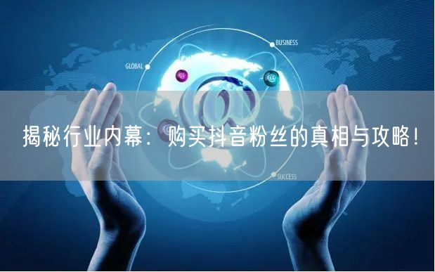 揭秘行业内幕：购买抖音粉丝的真相与攻略！