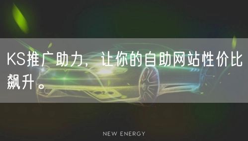 KS推广助力，让你的自助网站性价比飙升。