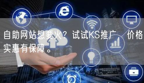自助网站想要火？试试KS推广，价格实惠有保障。