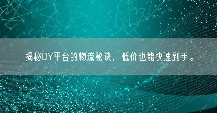揭秘DY平台的物流秘诀，低价也能快速到手。