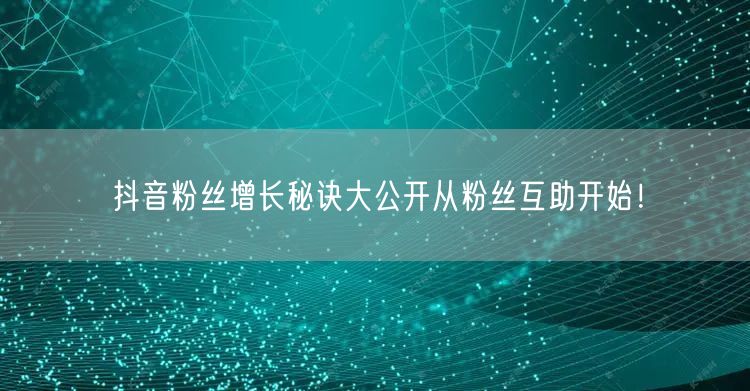 抖音粉丝增长秘诀大公开从粉丝互助开始！