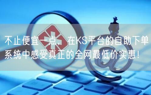 不止便宜一点，在KS平台的自助下单系统中感受真正的全网最低价实惠！