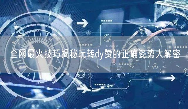 全网最火技巧揭秘玩转dy赞的正确姿势大解密