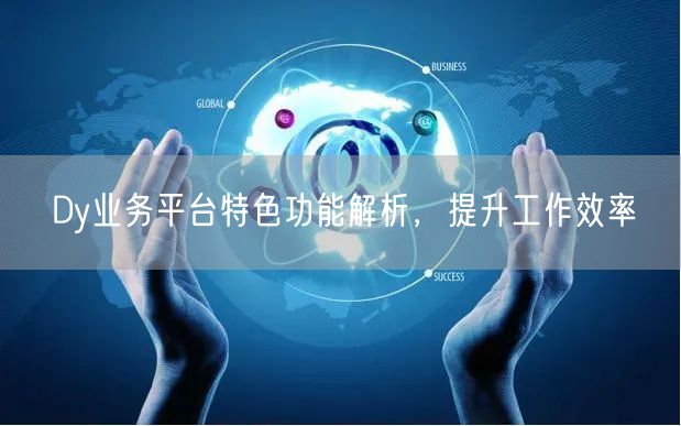 Dy业务平台特色功能解析，提升工作效率