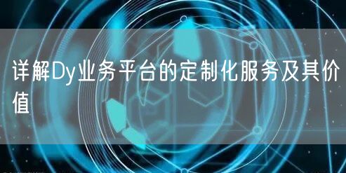 详解Dy业务平台的定制化服务及其价值
