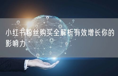 小红书粉丝购买全解析有效增长你的影响力