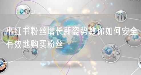 小红书粉丝增长新姿势教你如何安全有效地购买粉丝