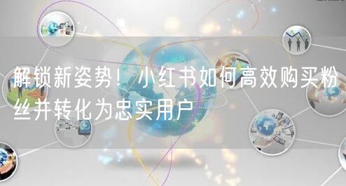 解锁新姿势！小红书如何高效购买粉丝并转化为忠实用户