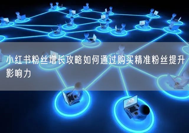 小红书粉丝增长攻略如何通过购买精准粉丝提升影响力