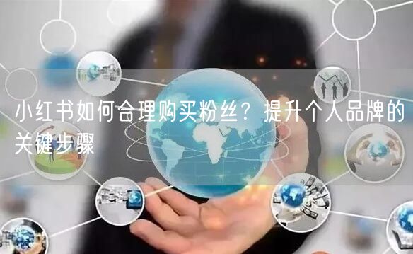 小红书如何合理购买粉丝？提升个人品牌的关键步骤