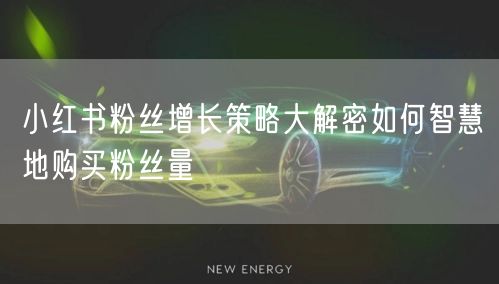 小红书粉丝增长策略大解密如何智慧地购买粉丝量