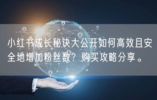 小红书成长秘诀大公开如何高效且安全地增加粉丝数？购买攻略分享。