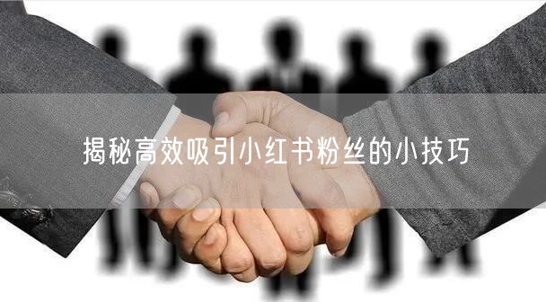 揭秘高效吸引小红书粉丝的小技巧