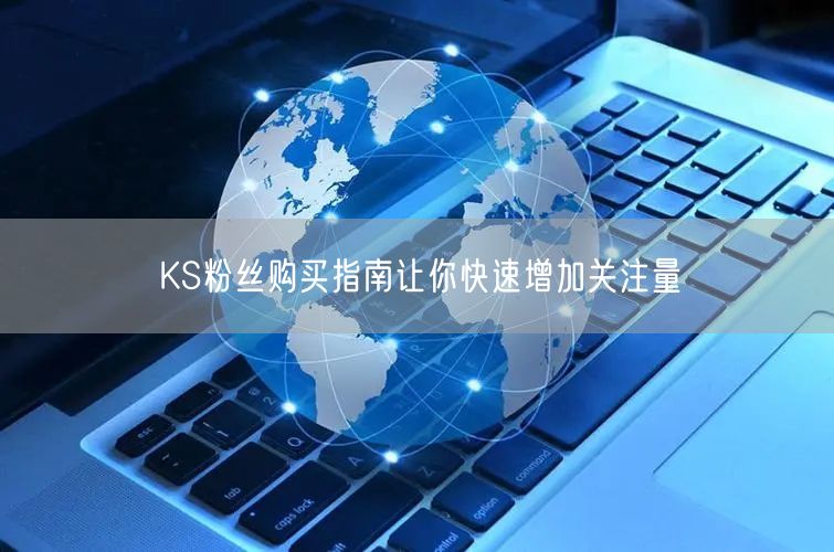 KS粉丝购买指南让你快速增加关注量