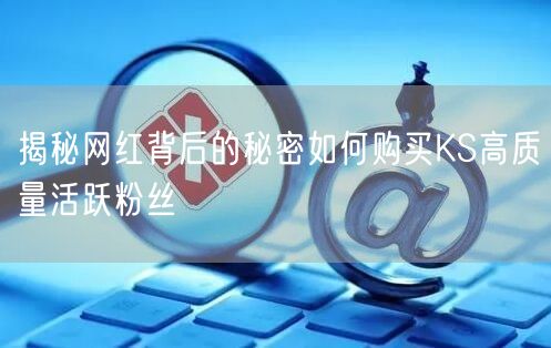 揭秘网红背后的秘密如何购买KS高质量活跃粉丝