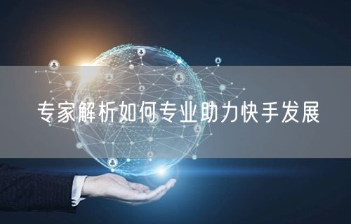 专家解析如何专业助力快手发展