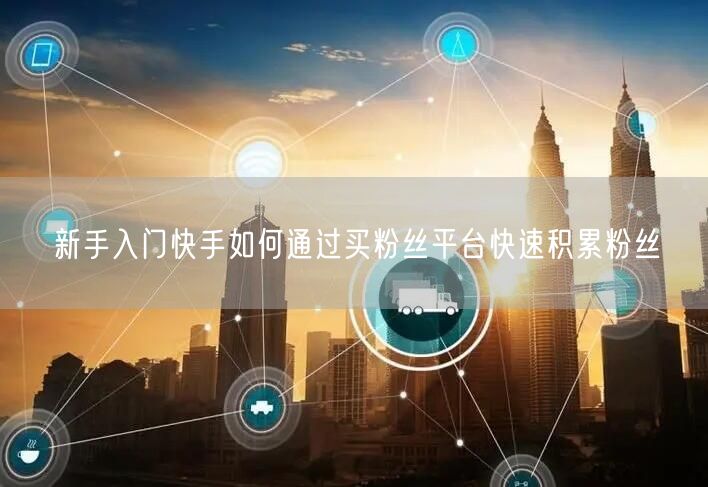 新手入门快手如何通过买粉丝平台快速积累粉丝