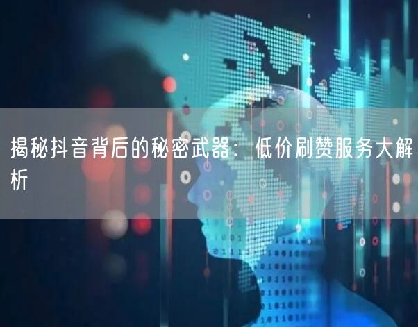 揭秘抖音背后的秘密武器：低价刷赞服务大解析