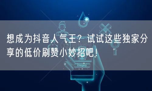 想成为抖音人气王？试试这些独家分享的低价刷赞小妙招吧！