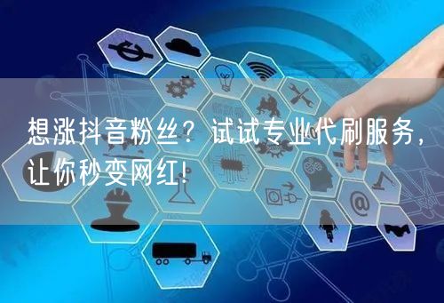 想涨抖音粉丝？试试专业代刷服务，让你秒变网红!