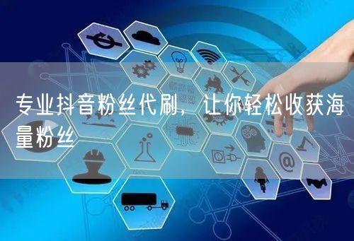 专业抖音粉丝代刷，让你轻松收获海量粉丝