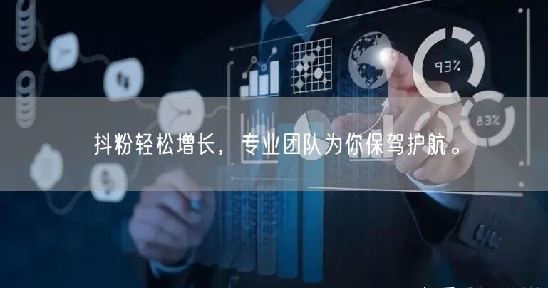 抖粉轻松增长，专业团队为你保驾护航。