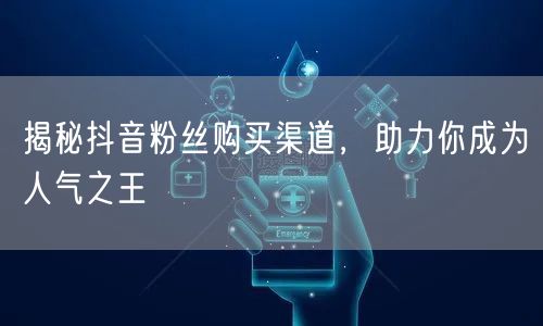 揭秘抖音粉丝购买渠道，助力你成为人气之王