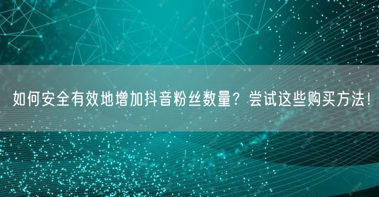 如何安全有效地增加抖音粉丝数量？尝试这些购买方法！