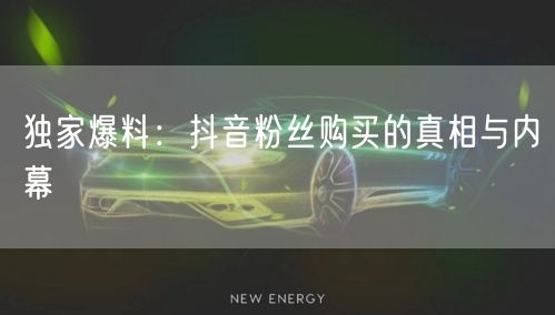 独家爆料：抖音粉丝购买的真相与内幕