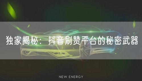 独家揭秘：抖音刷赞平台的秘密武器