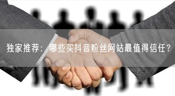 独家推荐：哪些买抖音粉丝网站最值得信任？