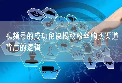 视频号的成功秘诀揭秘粉丝购买渠道背后的逻辑
