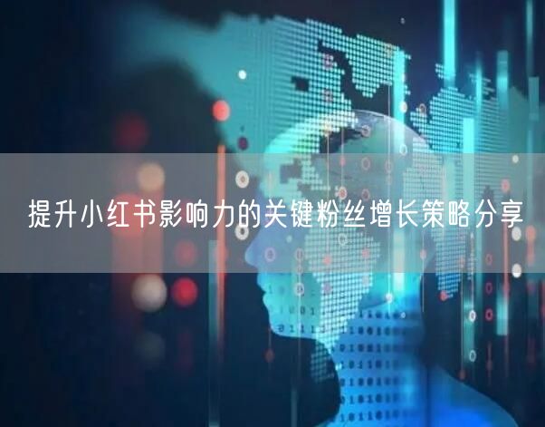 提升小红书影响力的关键粉丝增长策略分享