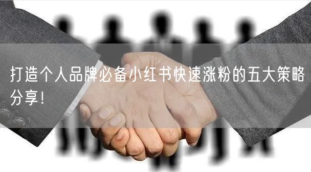 打造个人品牌必备小红书快速涨粉的五大策略分享！