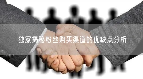 独家揭秘粉丝购买渠道的优缺点分析