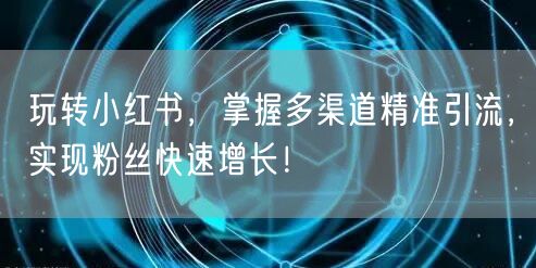 玩转小红书，掌握多渠道精准引流，实现粉丝快速增长！