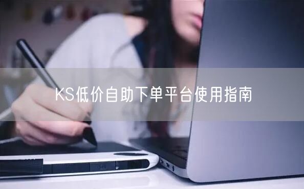 KS低价自助下单平台使用指南