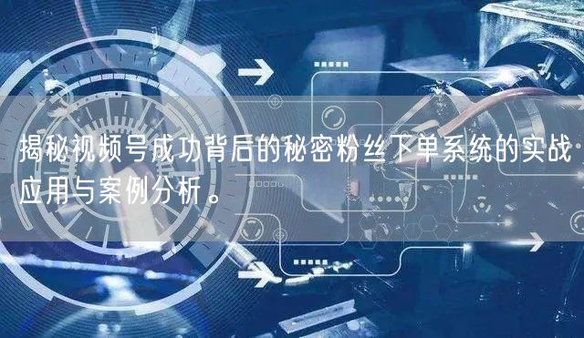 揭秘视频号成功背后的秘密粉丝下单系统的实战应用与案例分析。