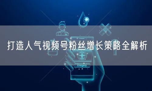 打造人气视频号粉丝增长策略全解析