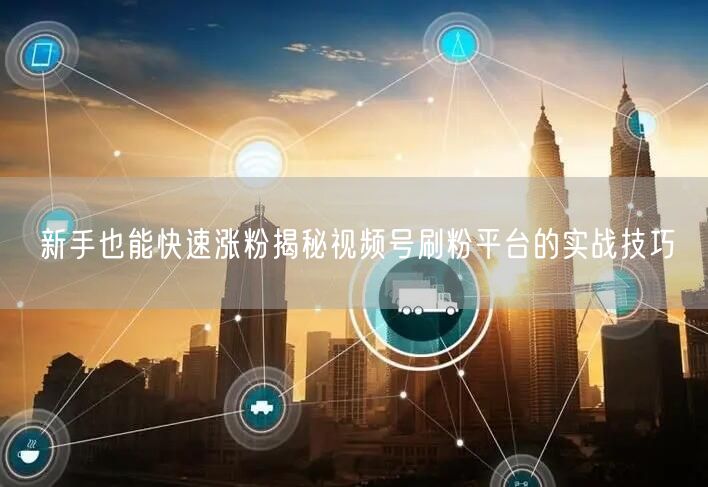 新手也能快速涨粉揭秘视频号刷粉平台的实战技巧