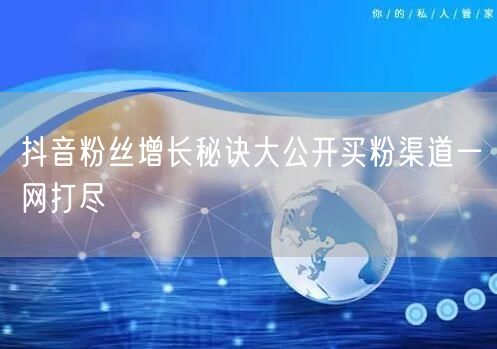抖音粉丝增长秘诀大公开买粉渠道一网打尽